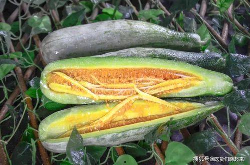 各类网红爆料吃瓜,娱乐圈吃瓜大揭秘，明星幕后故事全曝光！